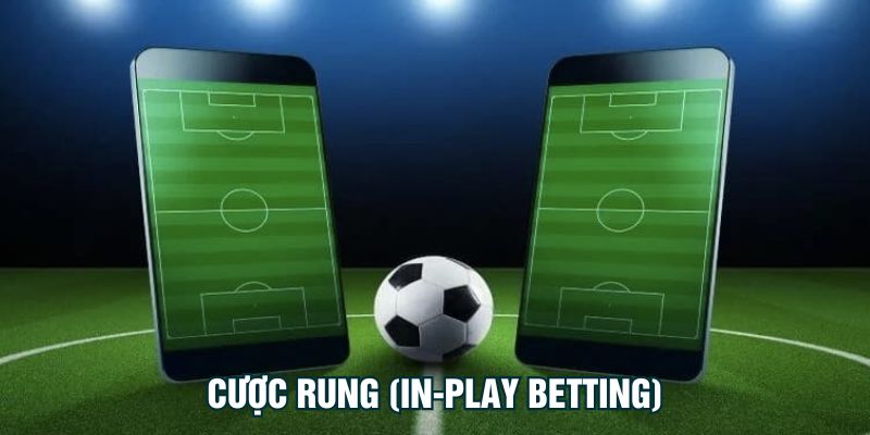 Cược rung (In-Play Betting)